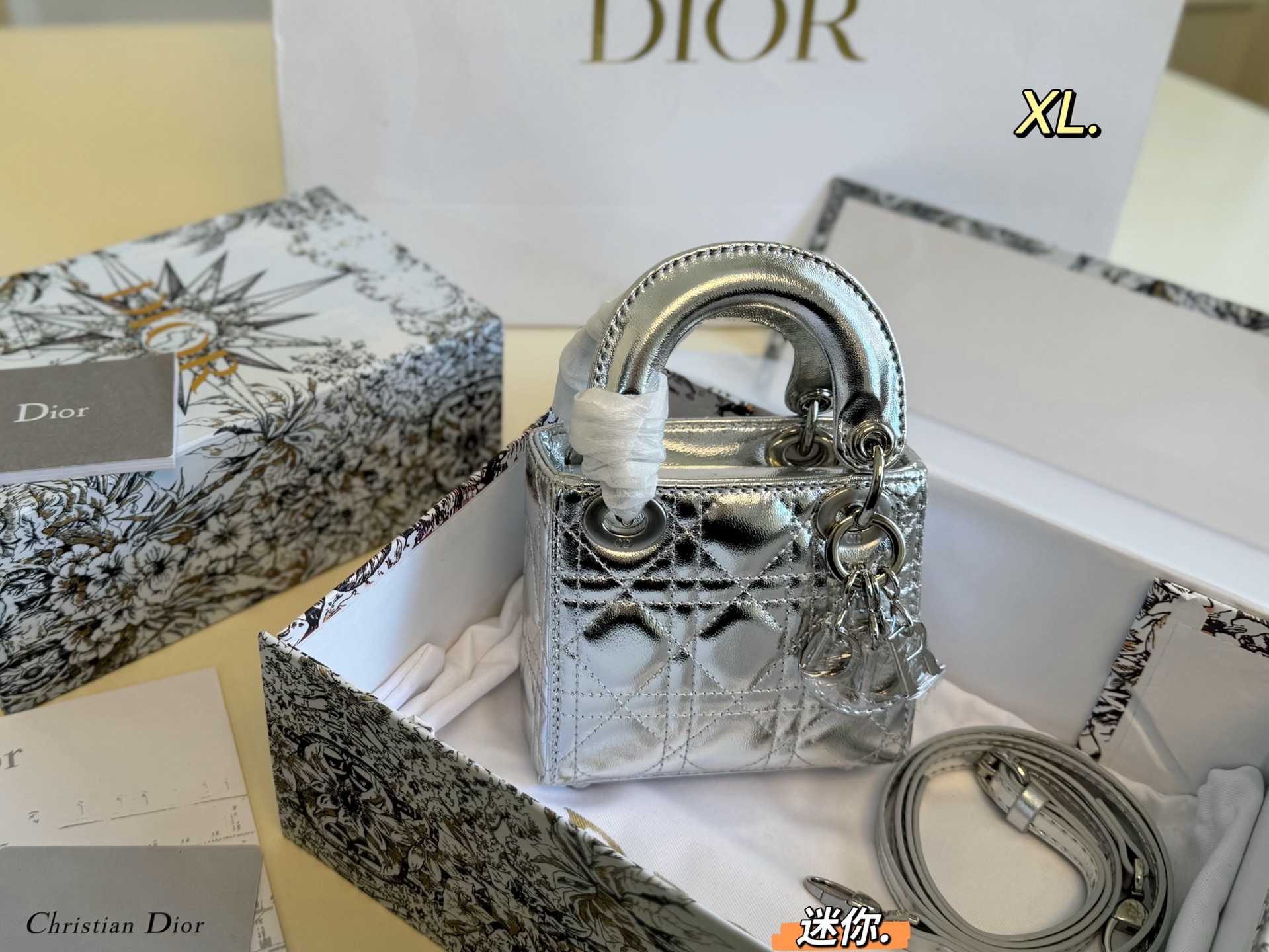 DIOR bag 14
